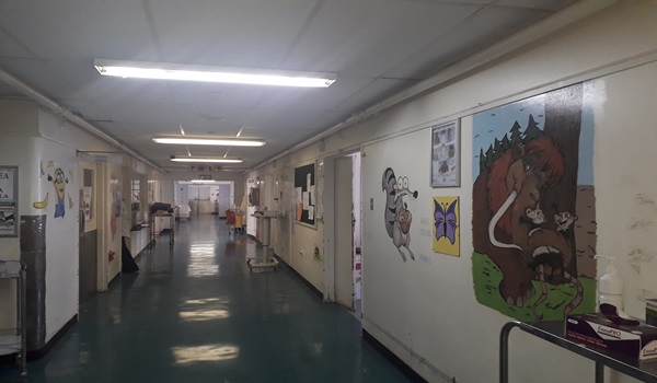 Paediatric Ward